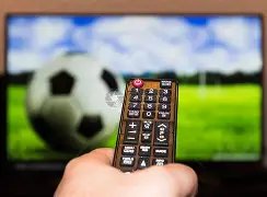 中国,代表团将集,结百名运动,开云,KaiYun,开云体育官网,开云官网,开云体育下载